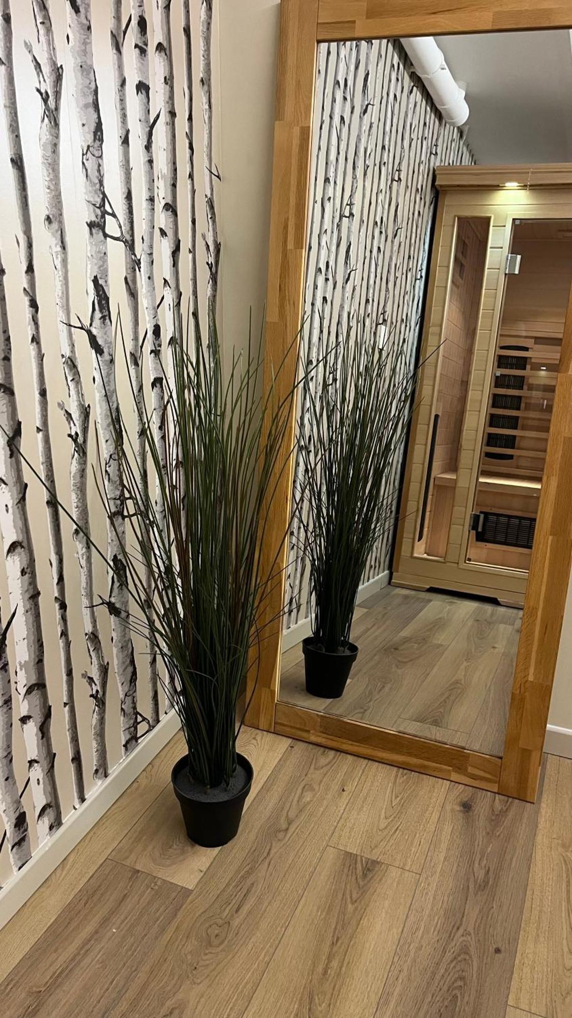 100 M De La Mer, Sauna, Wifi Mers-les-Bains Kültér fotó